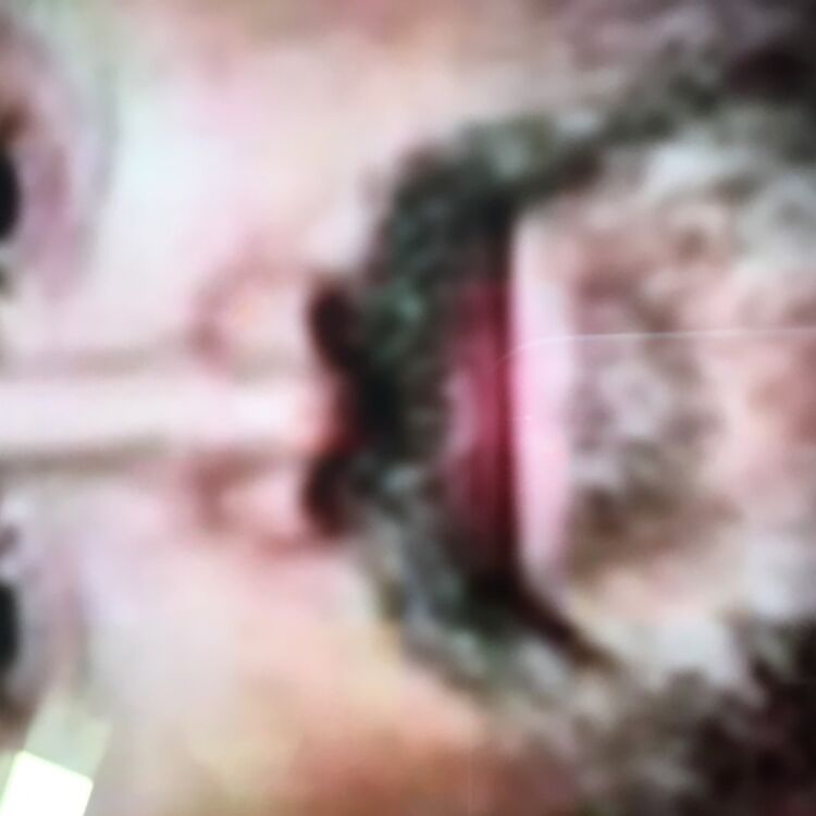 Foto de perfil de Alejandro