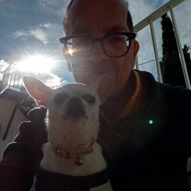 Foto de perfil de javi