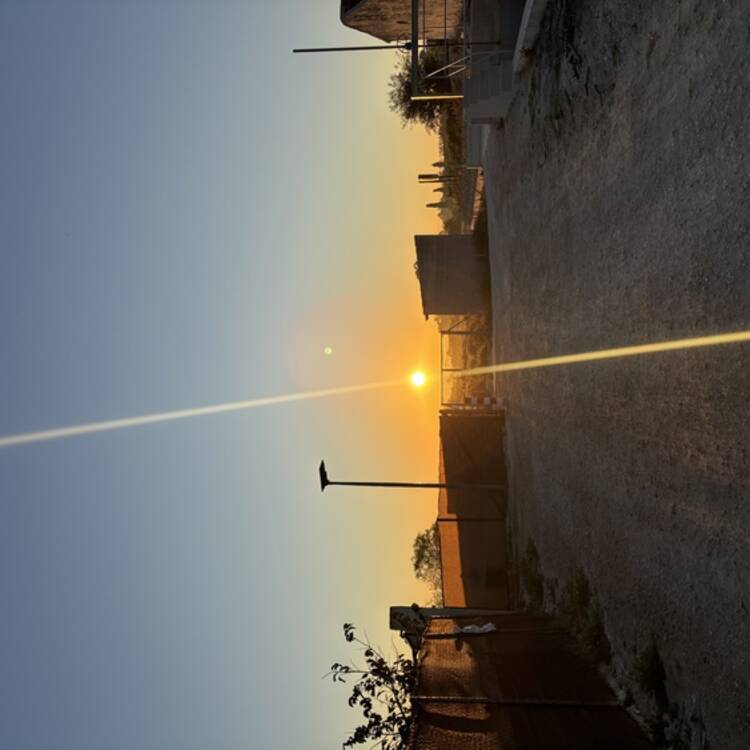 Foto de perfil de Zaida